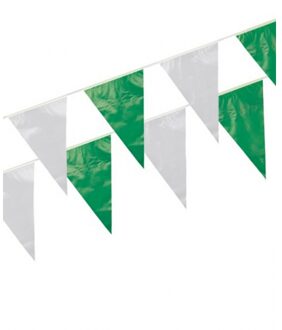 Boland Plastic vlaggenlijn groen/wit 10 meter