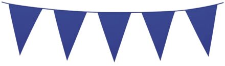 Boland reuzevlaggenlijn PE 10 meter blauw 46 cm