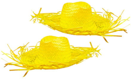 Boland Set van 2x stuks gele Tropische Hawaii thema strohoed met grote rand