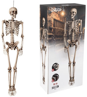 Boland Skelet pop - 160 cm - halloween - horror - geraamte - hangende pop - halloween versiering