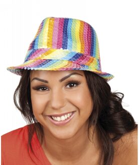 Boland Trilby verkleed hoed met pailletten - regenboog - glitter - volwassenen Multi