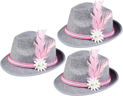 Boland Verkleed hoedje voor Oktoberfest/duits/tiroler - 3x - grijs/roze - volwassenen - Carnaval