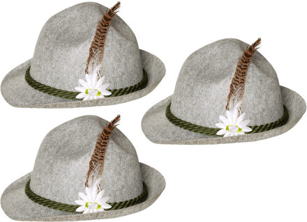 Boland Verkleed hoedje voor Oktoberfest/duits/tiroler - 3x - grijs - volwassenen - Carnaval
