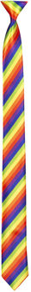 Boland Verkleed stropdas regenboog kleuren 54 cm - Verkleedstropdassen Multikleur