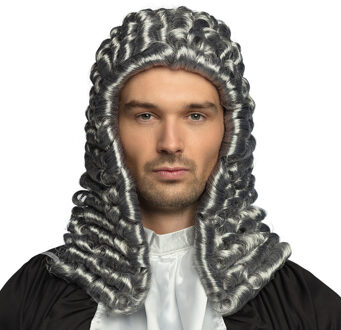 Boland Verkleedpruik voor heren - grijs - Rechter/Middeleeuwen - Carnaval - lang haar met nepkrullen
