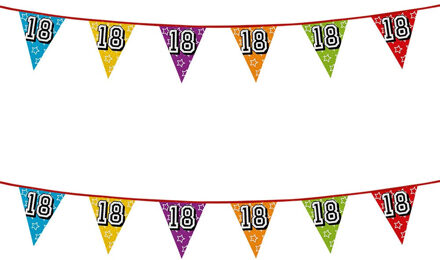 Boland Vlaggenlijn 18 jaar - 2x - multicolor - glitters - 8 meter - kunststof - vlaggetjes