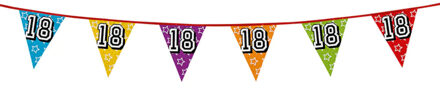Boland Vlaggenlijn 18 jaar - multicolor - glitters - 8 meter - kunststof - vlaggetjes