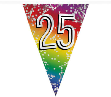 Boland Vlaggenlijn 25 jaar - versiering - vlaggetjes slinger - 6 meter - Glitter folie Multi