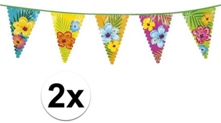Boland vlaggenlijn - 2x - 600 cm - kunststof - tropisch thema - hawaii Multi