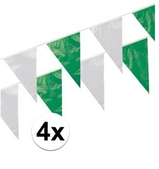 Boland Vlaggenlijn - 4x - groen/wit - 10 meter - kunststof - verjaardag Multi