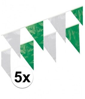Boland Vlaggenlijn - 5x - groen/wit - 10 meter - kunststof - verjaardag