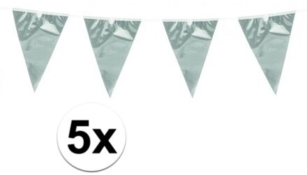 Boland Vlaggenlijn - 5x - zilver - 10 meter - vlaggentjes - glitter en glamour