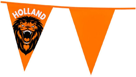 Boland Vlaggenlijn - oranje met leeuw - 6 meter - 15 vlaggen - kunststof