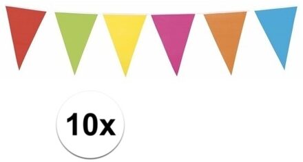 Boland Vlaggenlijn XL - 10x - multicolor - 10 m - kunststof - vlaggentjes