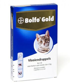 Bolfo Gold 40 Anti vlooienmiddel - Kat - 0 Tot 4 kg - 4 pipetten
