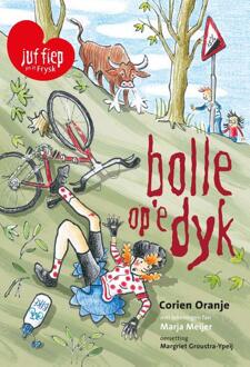 Bolle op'e dyk -  Corien Oranje (ISBN: 9789085435587)