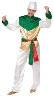 Bollywood Heer Kostuum Groen, Wit - Transparant, Multikleur - Print