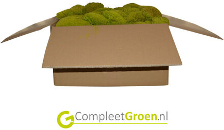 Bolmos spring groen 0,2m2