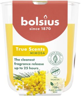 Bolsius Geurglas True Scents Mimosa 80/73