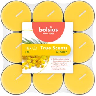 Bolsius Mimosa - Waxinelichtjes