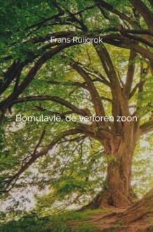Bomulavië, de verloren zoon # -  Frans Ruijgrok (ISBN: 9789464486636)