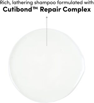 Bond Therapy Full Routine Bundle