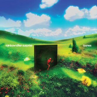 Bones - Rainbow Kitten Surprise