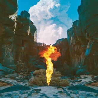 Bonobo - Migration | CD
