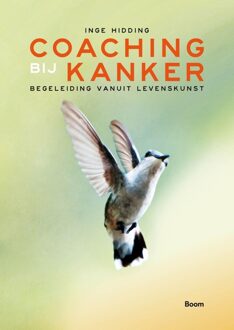 BOOM Coaching bij kanker - Inge Hidding - ebook