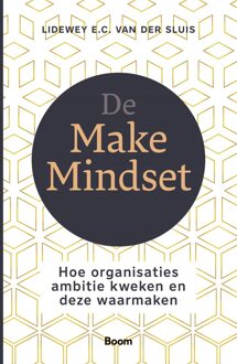 BOOM De Make Mindset - Lidewey van der Sluis - ebook