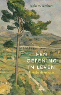 BOOM Een oefening in leven - Pablo Muruzabal Lamberti - ebook