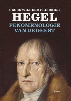 BOOM Fenomenologie van de geest - Willem Visser - ebook