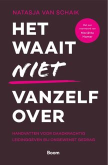 BOOM Het waait niet vanzelf over - Natasja van Schaik - ebook