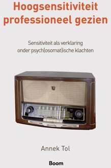 BOOM Hoogsensitiviteit professioneel gezien - Annek Tol - ebook