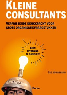 BOOM Kleine consultants - Bas Warmerdam - ebook