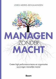 BOOM Managen zonder macht - Joris Merks-Benjaminsen - ebook