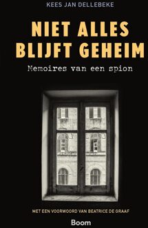 BOOM Niet alles blijft geheim - Kees Jan Dellebeke - ebook