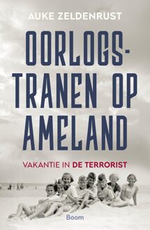 BOOM Oorlogstranen op Ameland - Auke Zeldenrust - ebook
