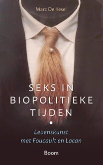 BOOM Seks in biopolitieke tijden - Marc De Kesel - ebook