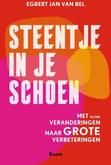 BOOM Steentje in je schoen - Egbert Jan van Bel - ebook