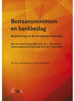 Boom Uitgevers Den Haag Bestaansminimum en bankbeslag - Boek Boom uitgevers Den Haag (9462905215)