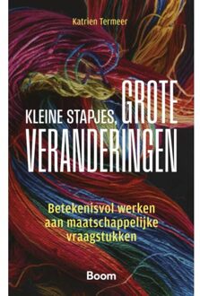 Boom Uitgevers Den Haag Kleine Stapjes, Grote Veranderingen - Katrien Termeer