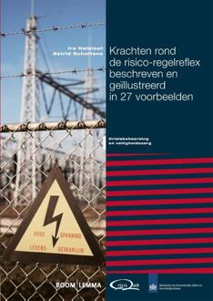 Boom Uitgevers Den Haag Krachten rond de risico-regelreflex beschreven en geïllustreerd in 27 voorbeelden - Boek Ira Helsloot (9462365563)