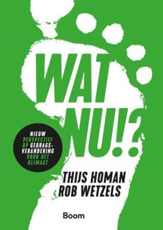 BOOM Wat nu!? - Thijs Homan, Rob Wetzels - ebook