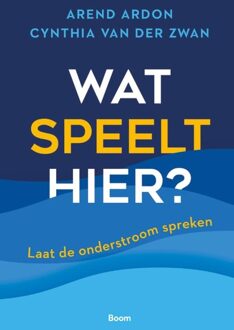 BOOM Wat speelt hier? - Arend Ardon, Cynthia van der Zwan - ebook