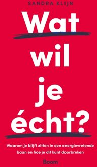 BOOM Wat wil je écht? - Sandra Klijn - ebook