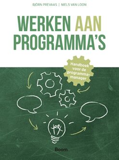 BOOM Werken aan programma´s - Björn Prevaas, Niels van Loon - ebook