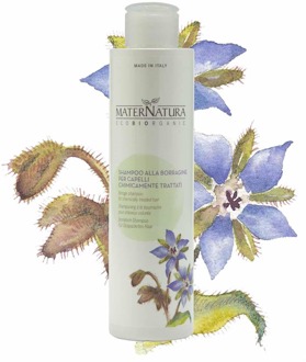 Borage Shampoo voor Chemisch Behandeld Haar - 250 ml