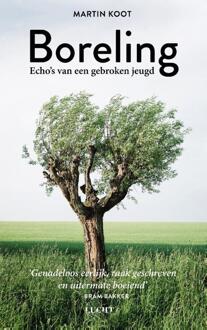 Boreling -  Martin Koot (ISBN: 9789493272705)