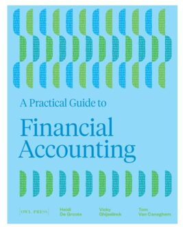 Borgerhoff & Lamberigts A Practical Guide To Financial Accounting - Heidi de Groote